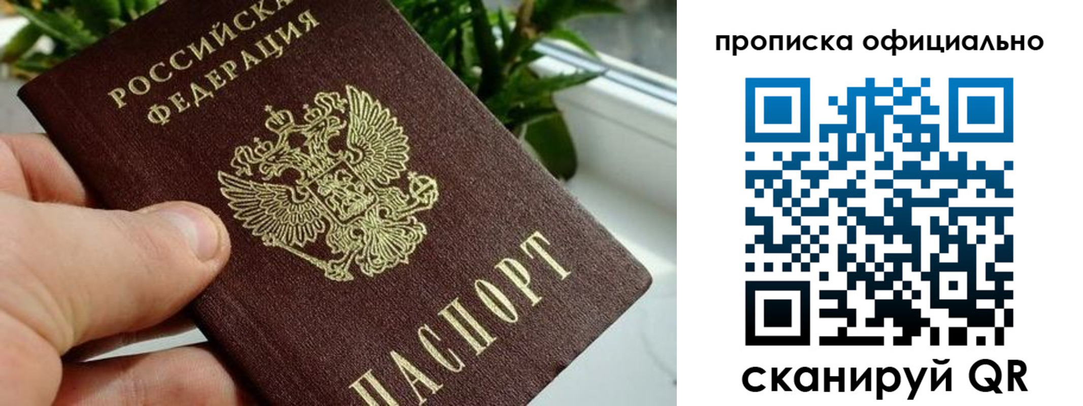 прописка поиск в Дивногорске